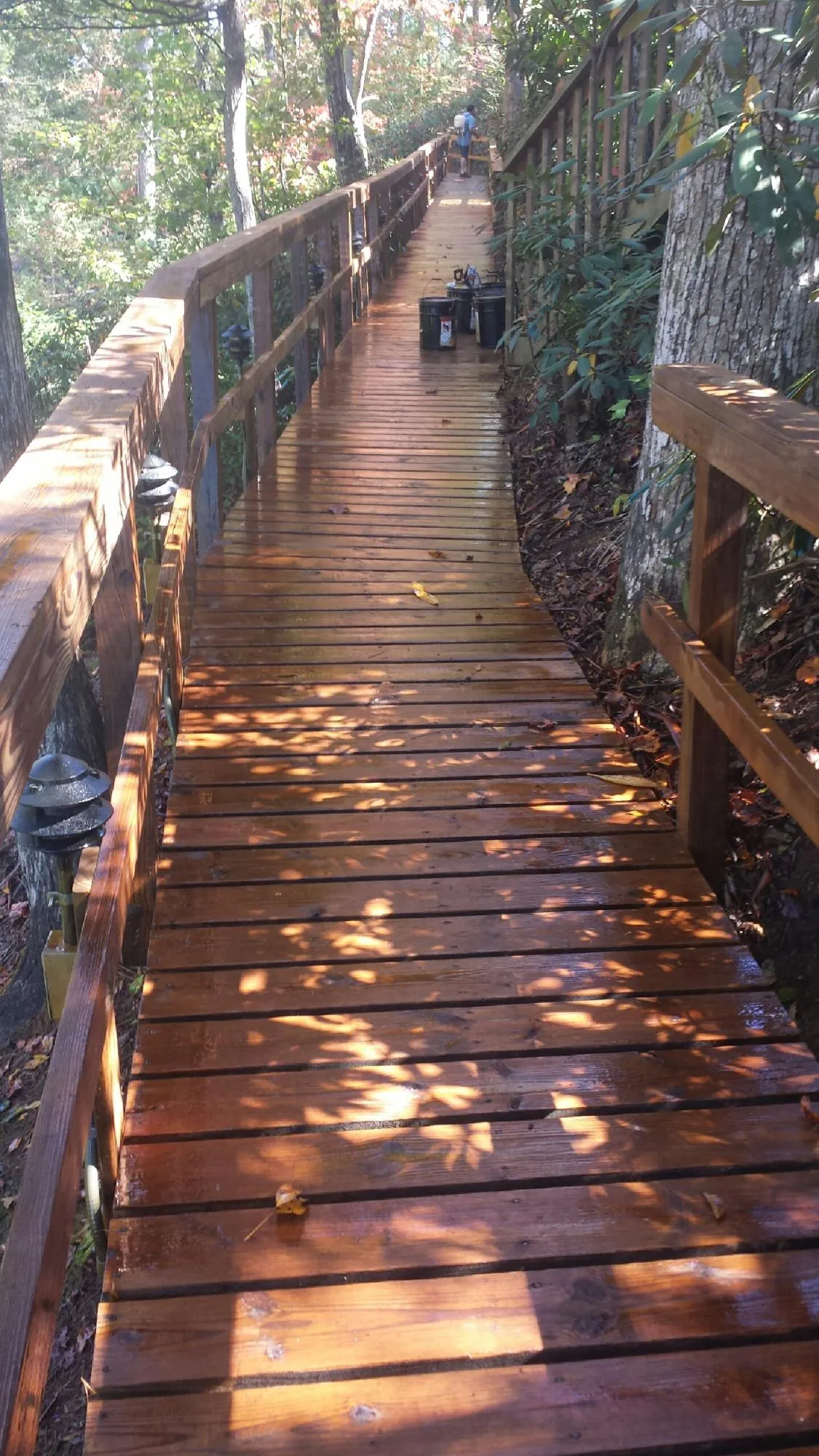 Freshly stained wood walkway winding through the woods in Lucas